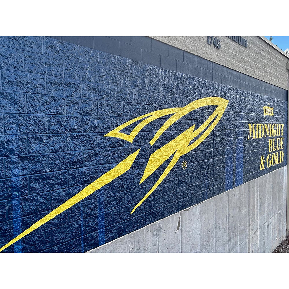 Arlon DPF V9500 Premium Non-PVC Printable Wall Vinyl