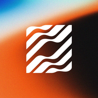 Schein Holographic Logo