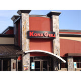 Arlon Series 4100 Translucent Vinyl