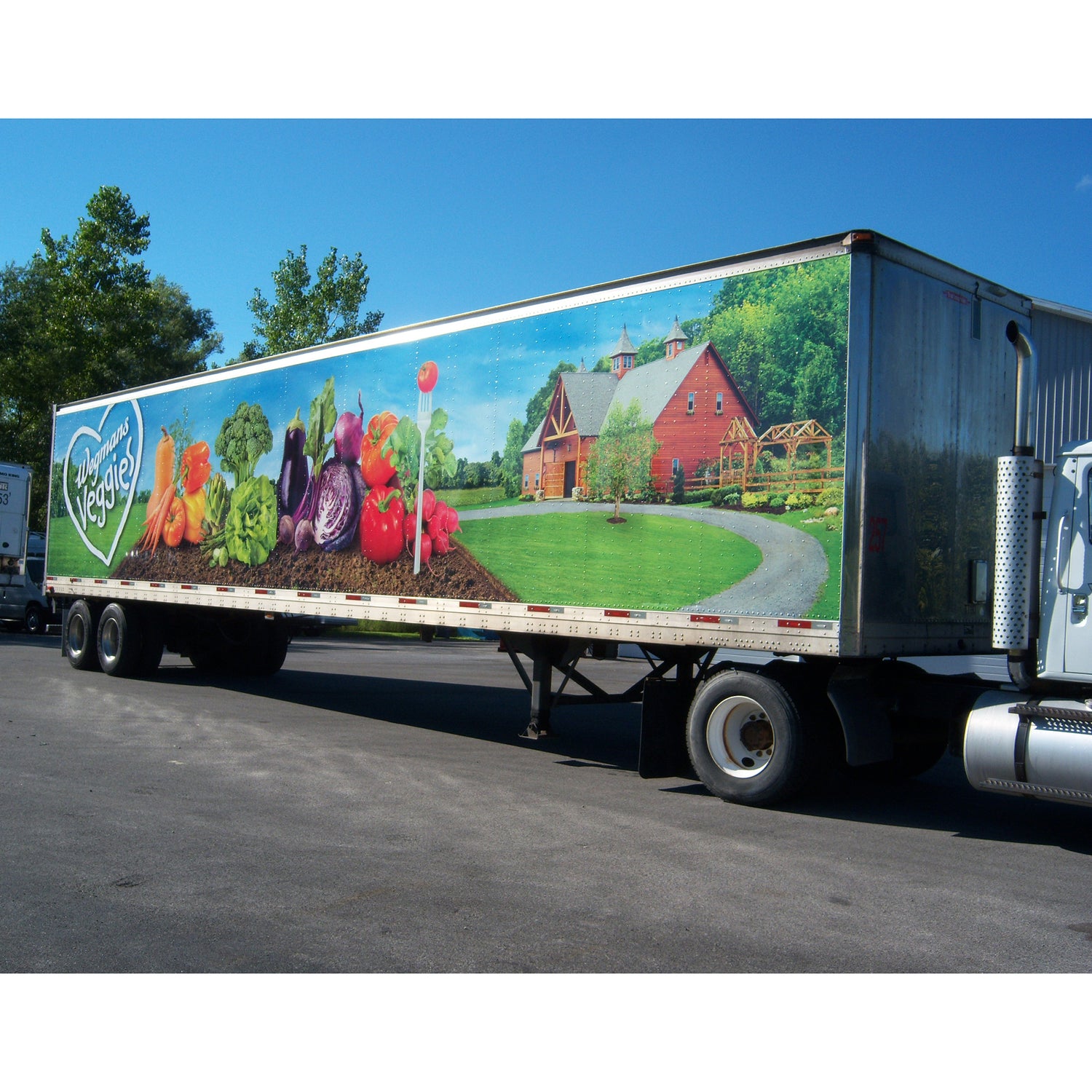 Arlon DPF 6000XRP Premium Printable Vinyl