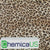 Chemica Fashion - Heat Transfer Vinyl Sheets - 15 in x 36 in
