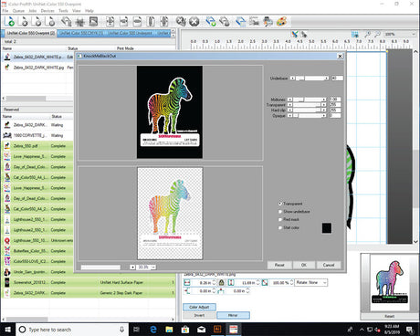 UNINET IColor PRORIP Software Screen Sample when in use